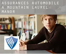 Assurances automobile à Mountain Laurel Manor
