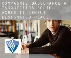 Compagnie d'assurance à  Tanquecitos South Acres II