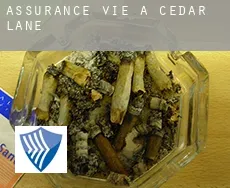 Assurance vie à Cedar Lane