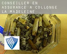 Conseiller en assurance à  Collonge-la-Madeleine