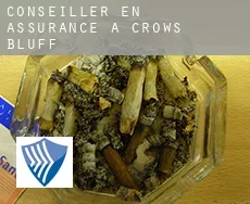 Conseiller en assurance à  Crows Bluff