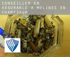 Conseiller en assurance à  Molines-en-Champsaur