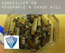 Conseiller en assurance à  Sandy Hill