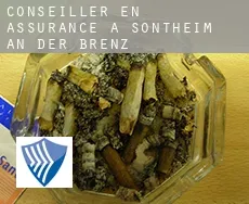 Conseiller en assurance à  Sontheim an der Brenz