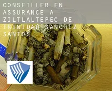 Conseiller en assurance à Ziltlaltepec de Trinidad Sanchez Santos