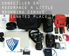 Conseiller en assurance à  Little Browning
