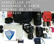 Conseiller en assurance à Santo Domingo de los Colorados