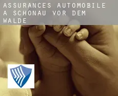 Assurances automobile à  Schönau vor dem Walde