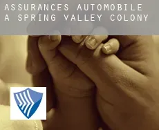 Assurances automobile à  Spring Valley Colony