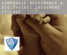 Compagnie d'assurance à  Big Thicket Creekmore Village