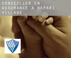 Conseiller en assurance à  Napari