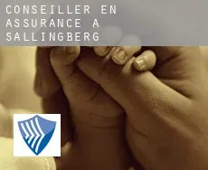 Conseiller en assurance à  Sallingberg