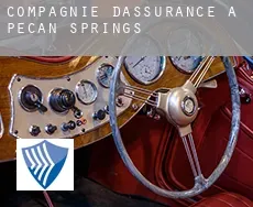 Compagnie d'assurance à  Pecan Springs