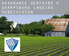 Assurance dentaire à  Sharpsburg Landing Subdivision