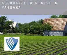 Assurance dentaire à  Yaguará