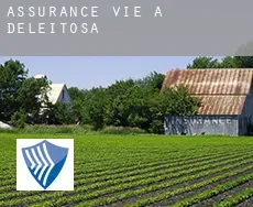 Assurance vie à  Deleitosa