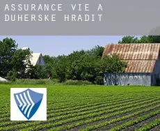 Assurance vie à  dUherské Hradiště
