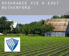 Assurance vie à  East Rutherford