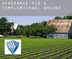 Assurance vie à  Templemichael Bridge