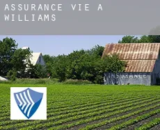 Assurance vie à Williams