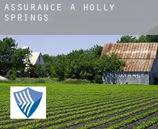 Assurance à Holly Springs