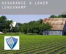 Assurance à  Lower Longswamp