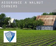Assurance à  Walnut Corners