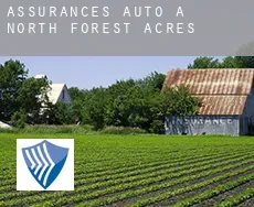 Assurances auto à  North Forest Acres