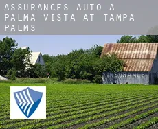 Assurances auto à Palma Vista at Tampa Palms