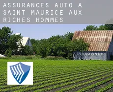 Assurances auto à  Saint-Maurice-aux-Riches-Hommes