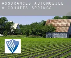 Assurances automobile à  Cohutta Springs