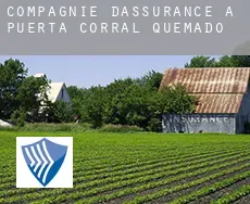 Compagnie d'assurance à  Puerta de Corral Quemado