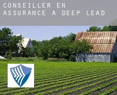 Conseiller en assurance à  Deep Lead