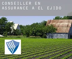 Conseiller en assurance à  El Ejido