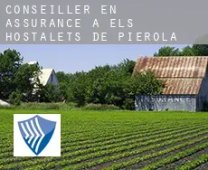 Conseiller en assurance à  els Hostalets de Pierola