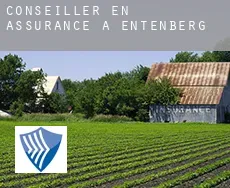 Conseiller en assurance à  Entenberg