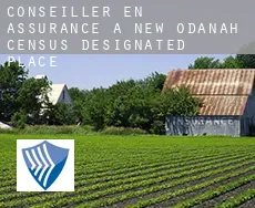 Conseiller en assurance à  New Odanah