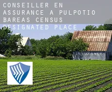 Conseiller en assurance à  Pulpotio Bareas