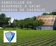 Conseiller en assurance à  Saint-Oradoux-de-Chirouze