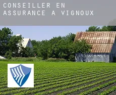 Conseiller en assurance à  Vignoux