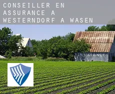 Conseiller en assurance à  Westerndorf a. Wasen
