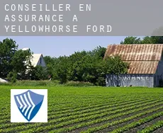 Conseiller en assurance à Yellowhorse Ford