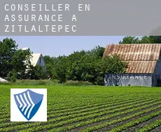Conseiller en assurance à Zitlaltepec
