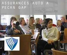 Assurances auto à Pecan Gap