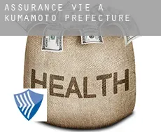 Assurance vie à Kumamoto Prefecture