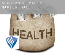 Assurance vie à Marienthal