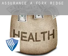 Assurance à  Fork Ridge