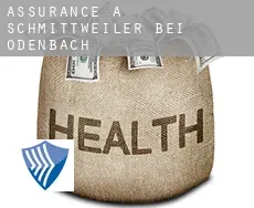 Assurance à  Schmittweiler bei Odenbach