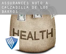 Assurances auto à  Calzadilla de los Barros