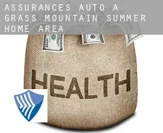 Assurances auto à  Grass Mountain Summer Home Area